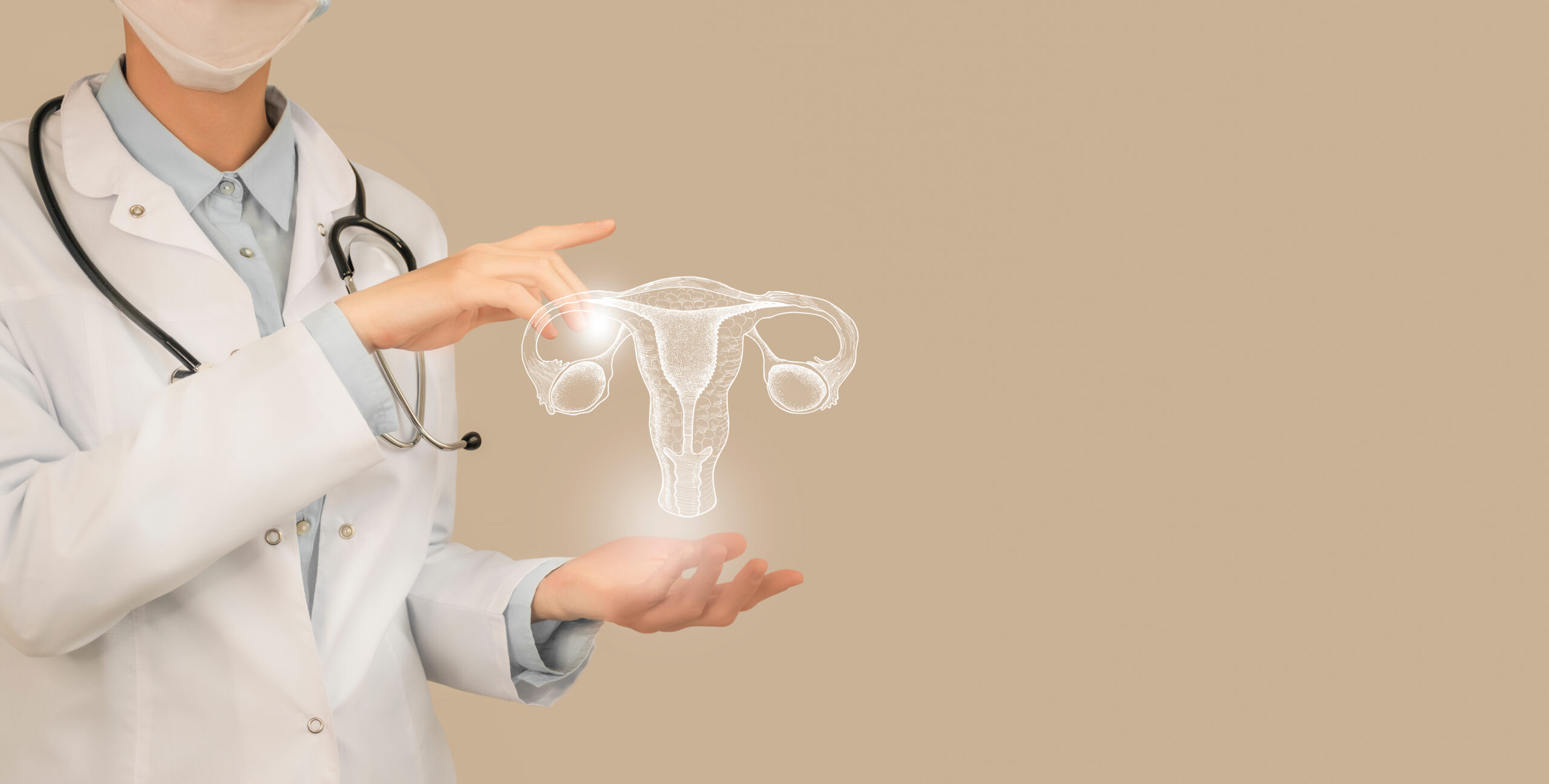 Female,Doctor,Holding,Virtual,Uterus,In,Hand.,Handrawn,Human,Organ,